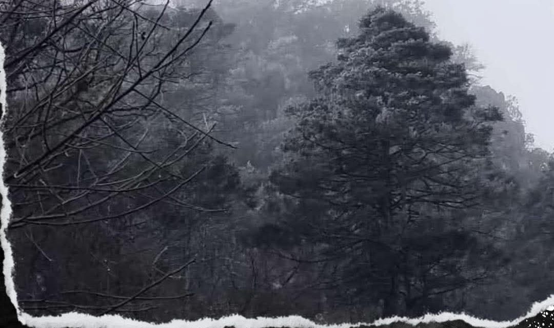 PERMANECE CERRADA LA CARRETERA DE LA SIERRA DE SANTIAGO POR LLUVIA ENGELANTE