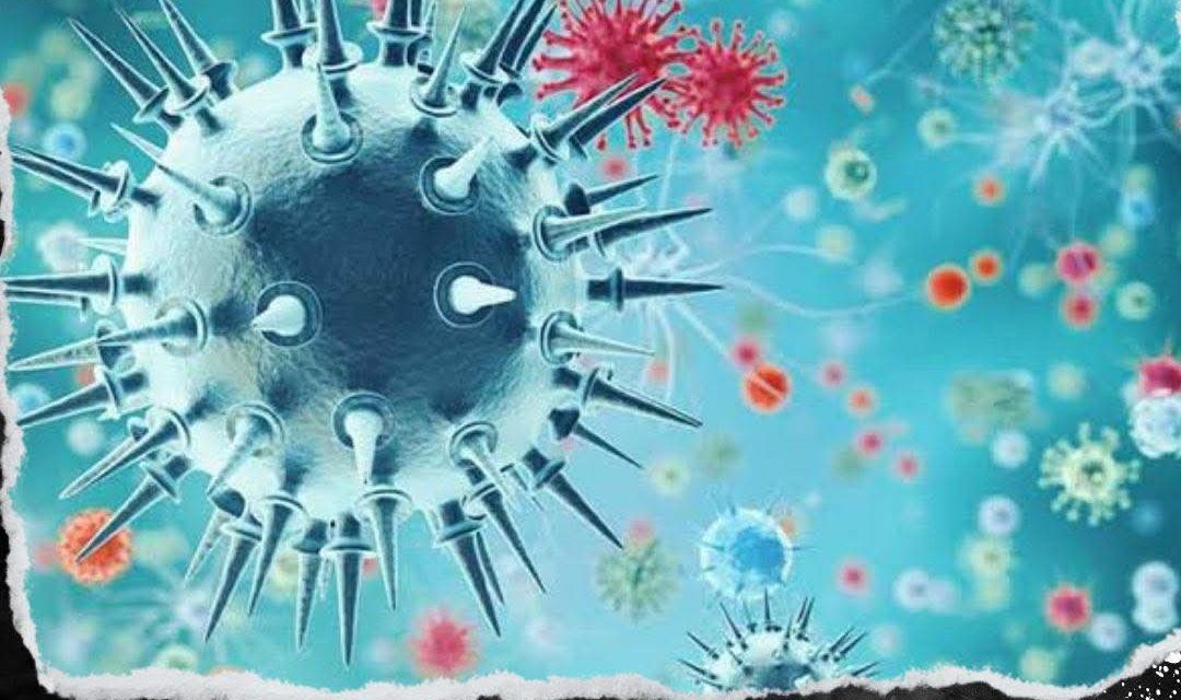 EXTREMAN PRECAUCIONES CON EL VIRUS DE LA INFLUENZA Y SUS VARIANTES