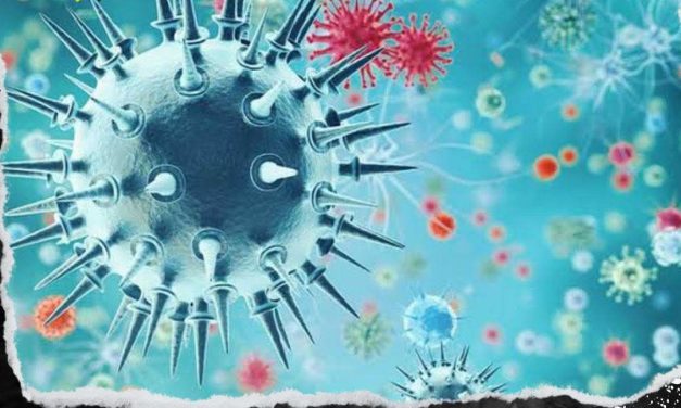 EXTREMAN PRECAUCIONES CON EL VIRUS DE LA INFLUENZA Y SUS VARIANTES