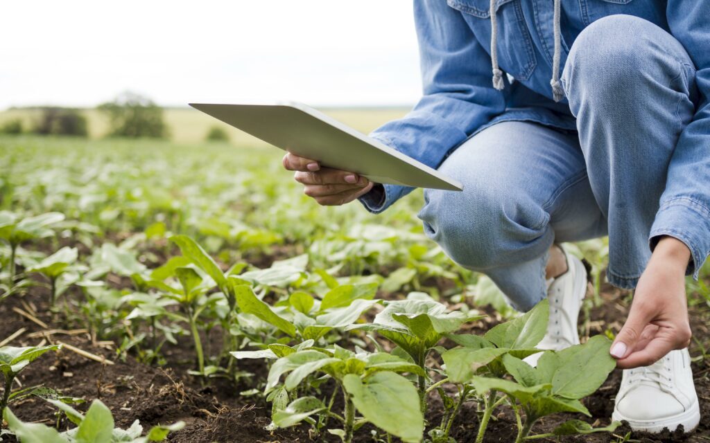 INTELIGENCIA ARTIFICIAL, CLAVE PARA FRENAR EL DESPERDICIO DE AGUA EN EL CAMPO