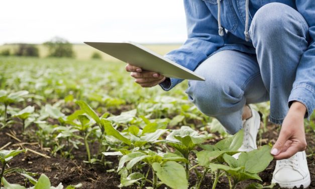 INTELIGENCIA ARTIFICIAL, CLAVE PARA FRENAR EL DESPERDICIO DE AGUA EN EL CAMPO