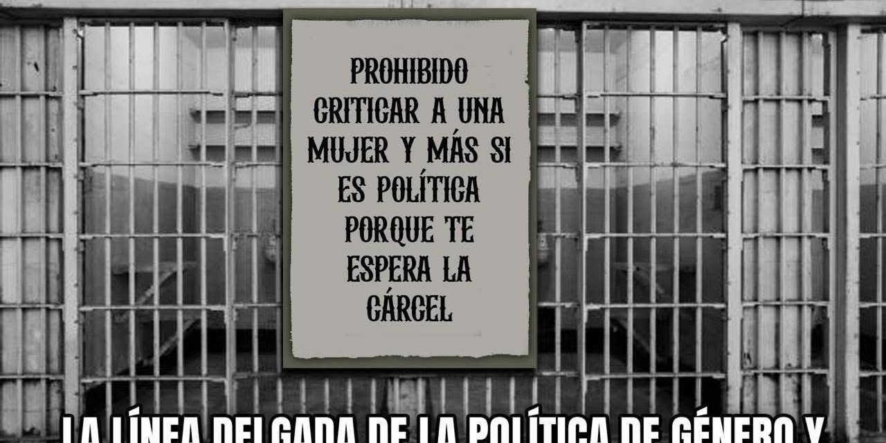 LA LÍNEA DELGADA DE LA POLÍTICA DE GÉNERO Y EL PODER DE LAS ACUSACIONES