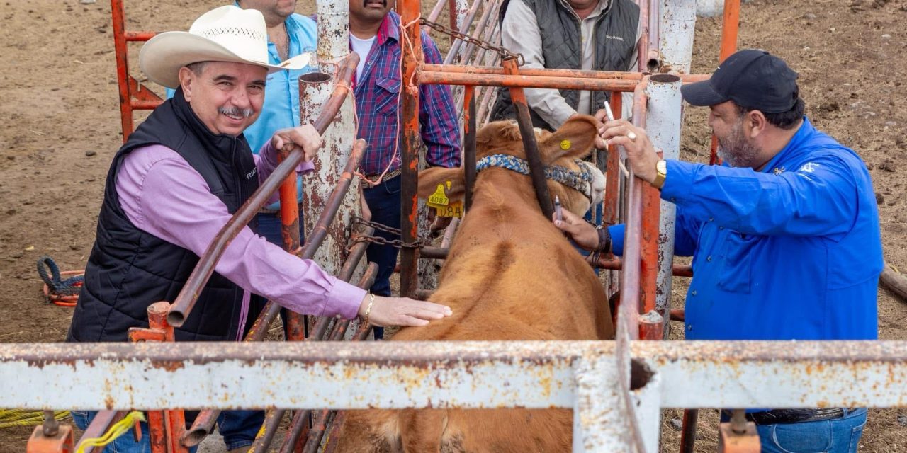 GERARDO GUZMÁN PARTICIPARÁ EN EL 25 ANIVERSARIO DEL CONCURSO DEL NOVILLO GORDO