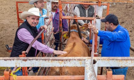 GERARDO GUZMÁN PARTICIPARÁ EN EL 25 ANIVERSARIO DEL CONCURSO DEL NOVILLO GORDO