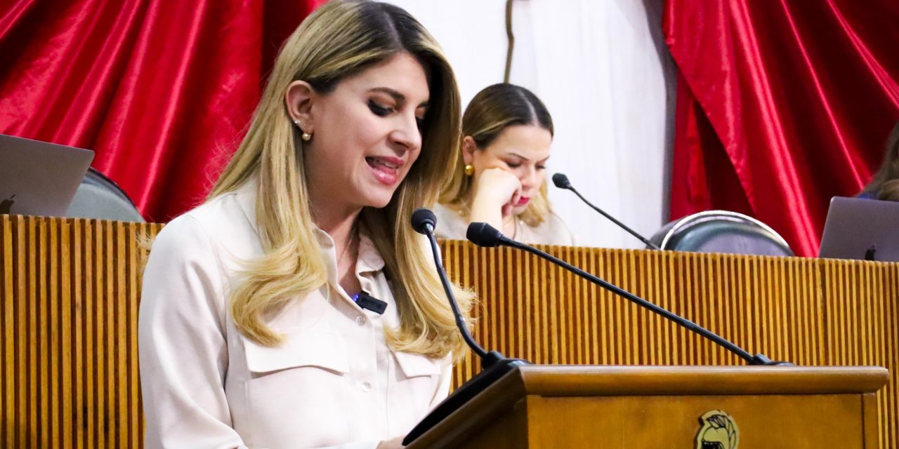 MELISA PEÑA IMPULSA ANÁLISIS DE LEY DE COORDINACIÓN METROPOLITANA