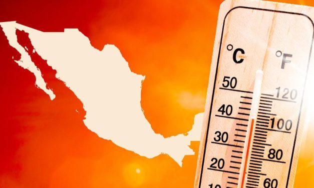 EL CALOR NO PERDONA: HASTA 45 GRADOS EN VARIOS ESTADOS