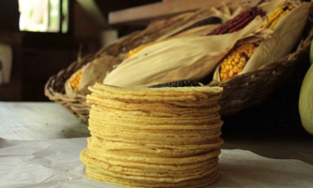 LA PRODUCCIÓN DE MAÍZ BLANCO CAERÁ EN 2025 Y PODRÍA ELEVAR EL PRECIO DE LA TORTILLA    La producción de maíz blanco en México enfrenta un escenario crítico para 2025, con estimaciones que apuntan a una caída a 21.7 millones de toneladas, lo que podría desencadenar incrementos significativos en el precio de la tortilla, alimento básico en la dieta mexicana.    Este descenso en la producción se atribuye principalmente a la sequía extrema que ha afectado al noroeste del país, especialmente a Sinaloa, estado que en años anteriores producía entre 5 y 6 millones de toneladas de maíz blanco, pero que para 2025 apenas alcanzará 1.97 millones de toneladas.    Como consecuencia, México podría perder su autosuficiencia en maíz blanco por primera vez desde 1989, viéndose obligado a importar alrededor de 700 mil toneladas para satisfacer la demanda interna, esta situación presionará al alza los precios de la tortilla, con proyecciones que indican que el costo por kilogramo podría alcanzar hasta 32 pesos en algunas regiones del país.    La presidenta Claudia Sheinbaum había establecido como meta reducir en un 10% el precio de la tortilla; sin embargo, este objetivo se torna inviable ante el déficit de producción y el incremento en los costos de importación, además, la reciente prohibición del cultivo de maíz transgénico en México podría limitar las opciones para aumentar la producción nacional en el corto plazo.