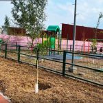 REFORESTAN PARQUE COYOACÁN COMO PARTE DEL PROGRAMA BOSQUES CIUDADANOS