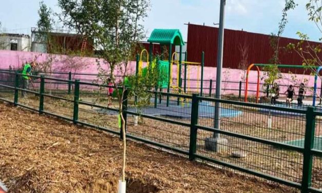 REFORESTAN PARQUE COYOACÁN COMO PARTE DEL PROGRAMA BOSQUES CIUDADANOS