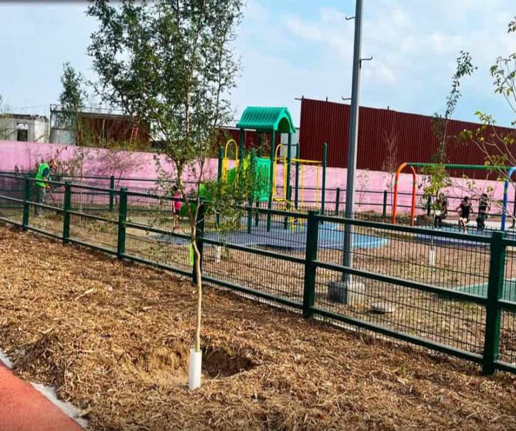 REFORESTAN PARQUE COYOACÁN COMO PARTE DEL PROGRAMA BOSQUES CIUDADANOS