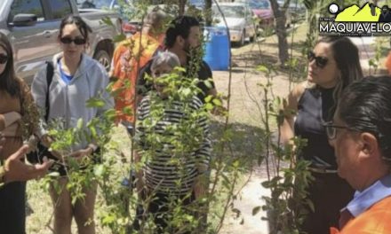 SECRETARÍA DE PARTICIPACIÓN CIUDADANÍA REALIZA CON ÉXITO JORNADA VERDE