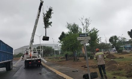 CÉSAR GARZA ARREDONDO ALISTA AMBICIOSO PROYECTO AMBIENTAL EN LA PLAZA DE PASEO DE LAS FLORES EN APODACA