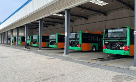 ROCÍO MONTALVO PROPONE MEJORAR BENEFICIOS A CONDUCTORES DE TRANSPORTE PÚBLICO ANTE CRISIS EN NUEVO LEÓN