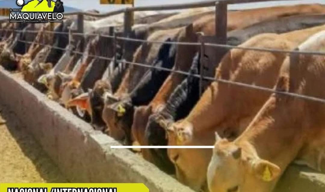 ACUERDAN MEDIDAS PARA REABRIR EXPORTACIONES DE GANADO