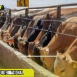 ACUERDAN MEDIDAS PARA REABRIR EXPORTACIONES DE GANADO