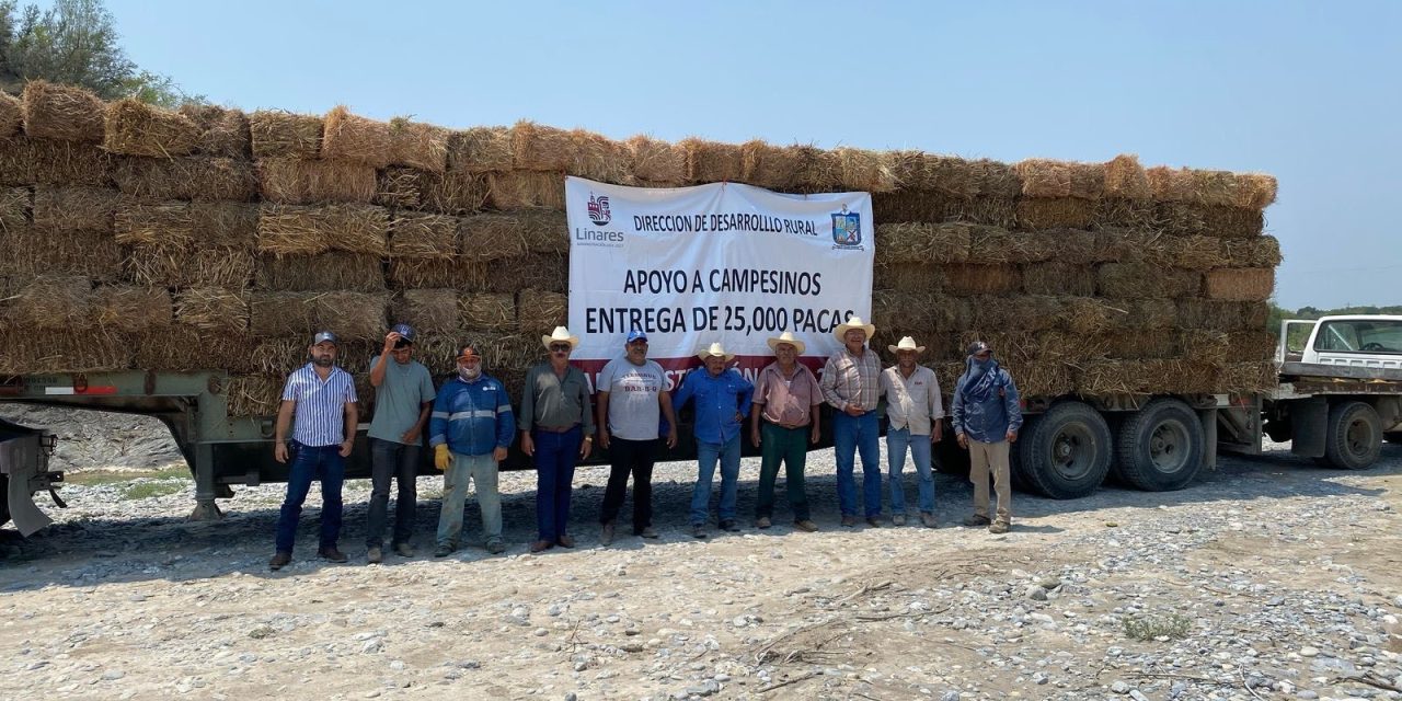 GERARDO GUZMÁN IMPULSA ENTREGA DE 600 PACAS A BAJO COSTO EN EJIDO LOS ÁLAMOS