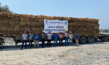 GERARDO GUZMÁN IMPULSA ENTREGA DE 600 PACAS A BAJO COSTO EN EJIDO LOS ÁLAMOS