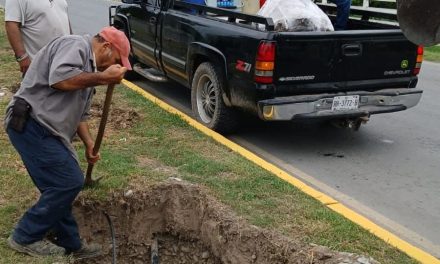 DAVID SÁNCHEZ IMPULSA REFORESTACIÓN EN GENERAL TERÁN
