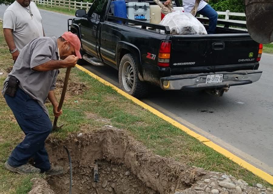 DAVID SÁNCHEZ IMPULSA REFORESTACIÓN EN GENERAL TERÁN
