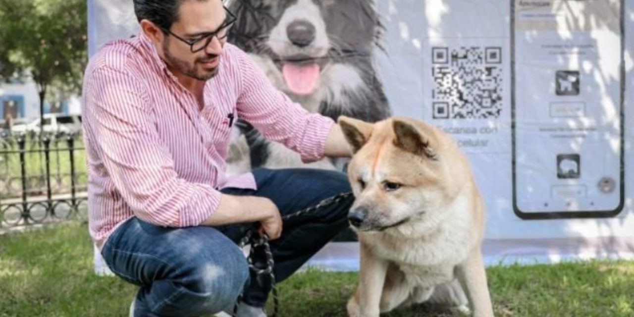 DAVID DE LA PEÑA ENCABEZA EXITOSA FERIA DE ADOPCIÓN RESPONSABLE EN SANTIAGO