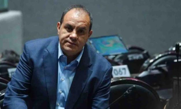 TEPJF DECLARA IRREGULAR LA CONDUCTA DE BLANCO EN PERJUICIO DE LEGISLADORA DEL PVEM