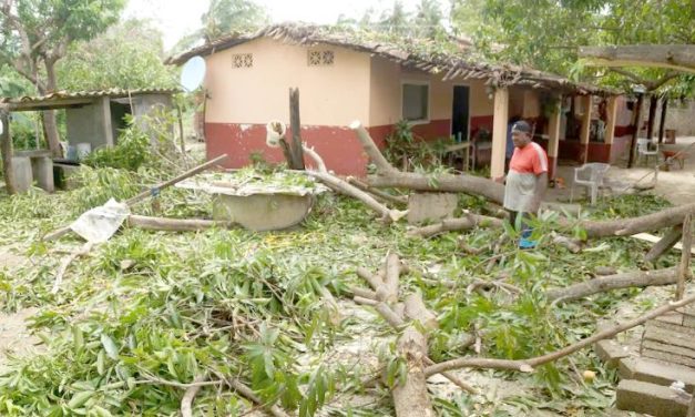 SECRETARÍA DE PROTECCIÓN CIVIL REPORTA “DAÑO ALTO” EN GUERRERO POR HURACÁN “ERICK”