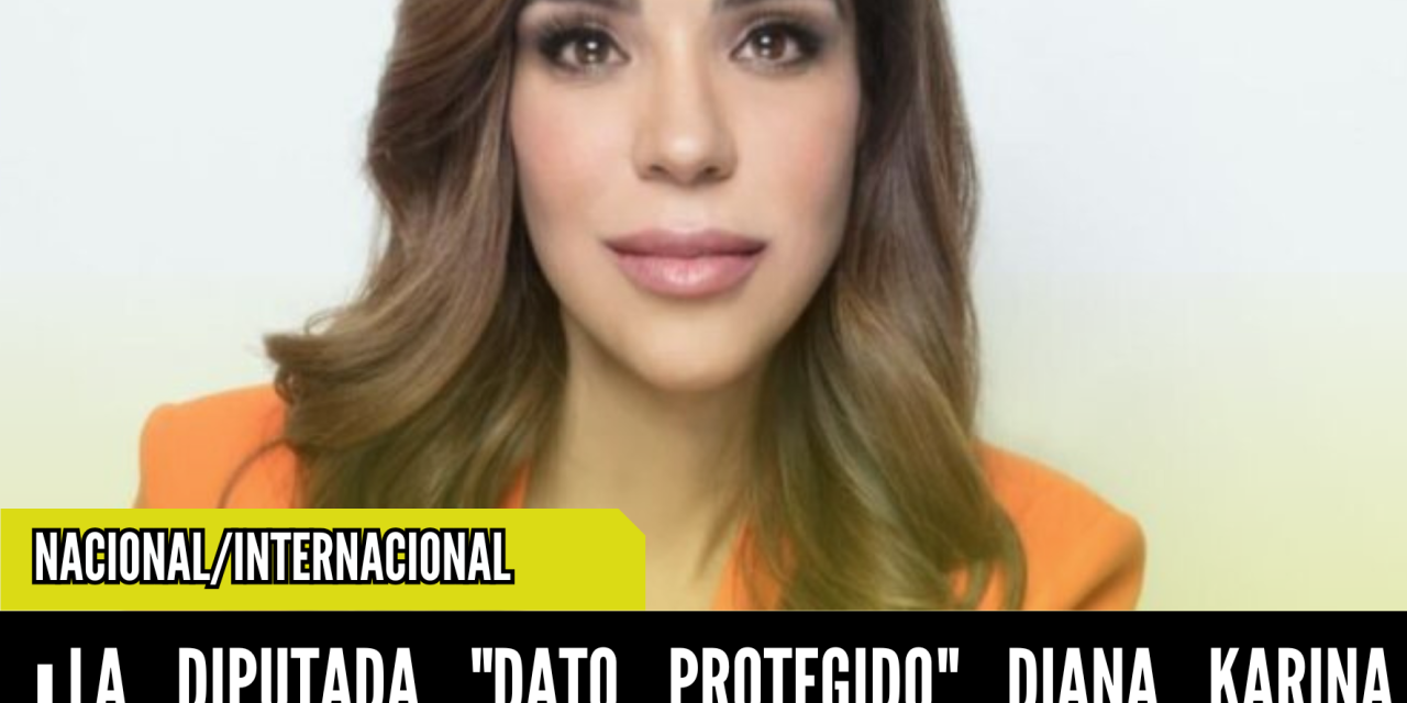 LA DIPUTADA “DATO PROTEGIDO” DIANA KARINA BARRERAS PIDE MODERACIÓN EN SANCIÓN POR VIOLENCIA POLÍTICA DE GÉNERO