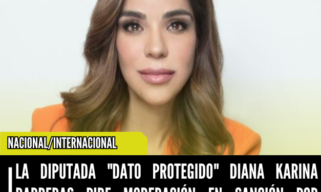 LA DIPUTADA “DATO PROTEGIDO” DIANA KARINA BARRERAS PIDE MODERACIÓN EN SANCIÓN POR VIOLENCIA POLÍTICA DE GÉNERO