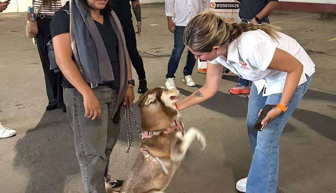 ROBERTA CARRILLO PIDE RESPETO Y CUIDADO PARA LOS PERROS EN SU DÍA INTERNACIONAL