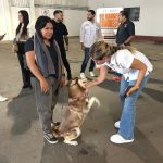 ROBERTA CARRILLO PIDE RESPETO Y CUIDADO PARA LOS PERROS EN SU DÍA INTERNACIONAL