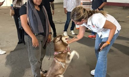 ROBERTA CARRILLO PIDE RESPETO Y CUIDADO PARA LOS PERROS EN SU DÍA INTERNACIONAL