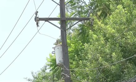 CFE ATRIBUYE FALTA DE LUZ EN MONTERREY A “DIABLITOS”