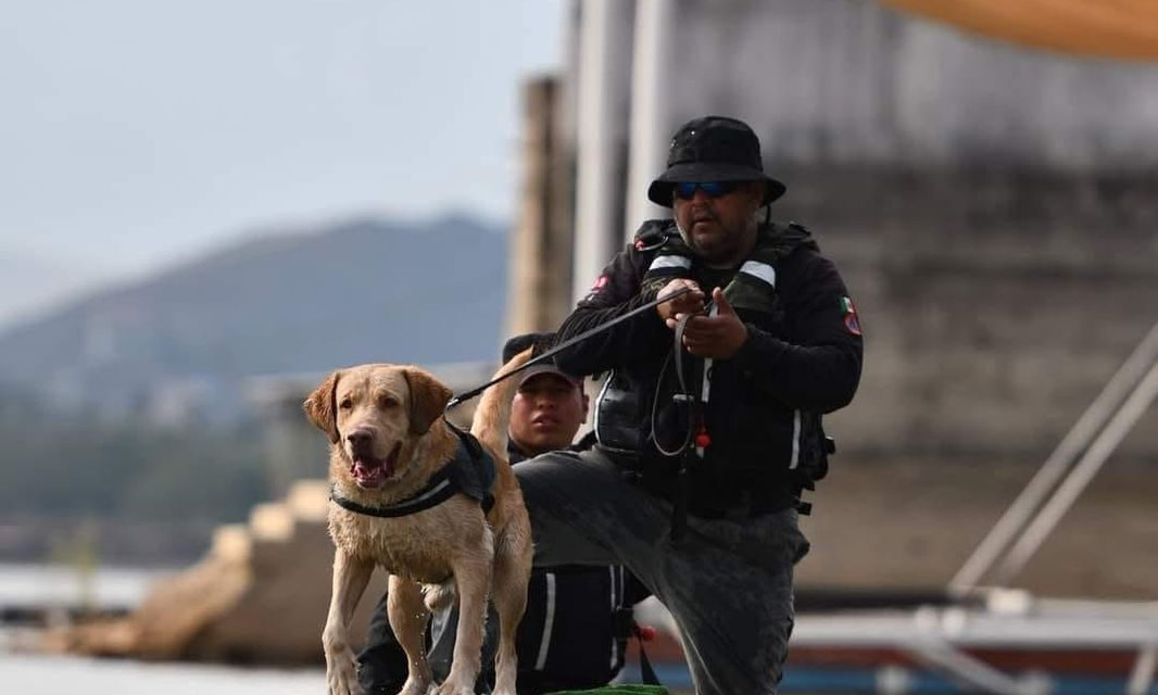 PROTECCIÓN CIVIL NL REFUERZA RESCATE EN TEXAS CON BINOMIOS CANINOS