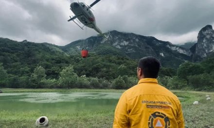 GUARDABOSQUES DE CHIPINQUE ATIENDEN INCENDIO PROVOCADO POR RAYO