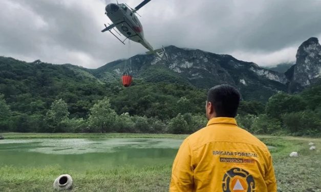 GUARDABOSQUES DE CHIPINQUE ATIENDEN INCENDIO PROVOCADO POR RAYO