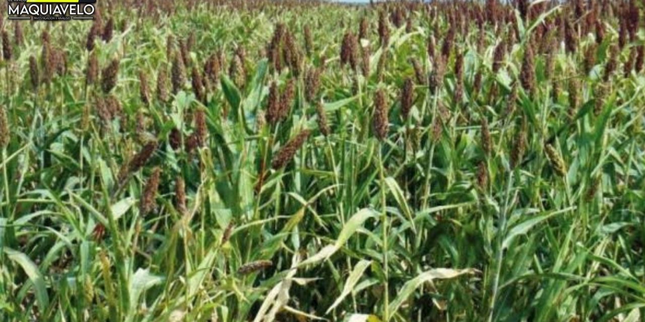 GOBIERNO FEDERAL Y ESTADO DE NUEVO LEÓN INVERTIRÁN MÁS DE 84 MDP CONTRA PLAGAS Y ENFERMEDADES AGROPECUARIAS