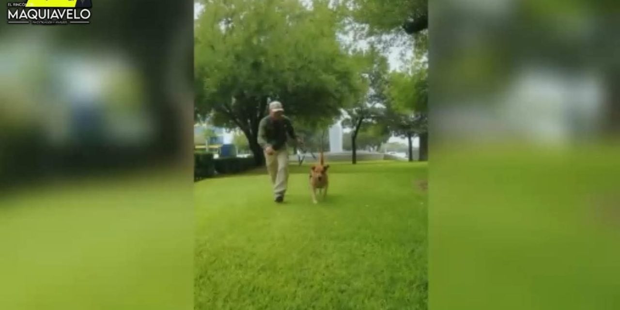LA UNIVERSIDAD AUTÓNOMA DE NUEVO LEÓN CELEBRA A SUS “LOMITOS GUARDIANES” POR EL DÍA MUNDIAL DEL PERRO