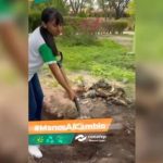 CONALEP NL IMPULSA “HUERTOS URBANOS” CON DESECHOS ORGÁNICOS Y PLANTAS MEDICINALES