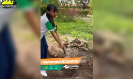 CONALEP NL IMPULSA “HUERTOS URBANOS” CON DESECHOS ORGÁNICOS Y PLANTAS MEDICINALES