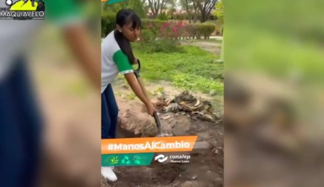CONALEP NL IMPULSA “HUERTOS URBANOS” CON DESECHOS ORGÁNICOS Y PLANTAS MEDICINALES