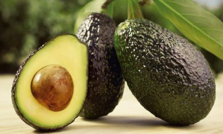 AGUACATE MEXICANO AMPLÍA MERCADOS Y LLEGA A BRASIL