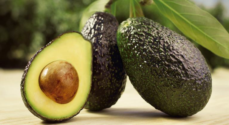 AGUACATE MEXICANO AMPLÍA MERCADOS Y LLEGA A BRASIL
