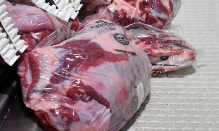 NUEVO LEÓN MANTIENE BUEN PASO EN COSECHAS Y PRODUCCIÓN PECUARIA