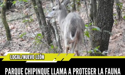 PARQUE CHIPINQUE LLAMA A PROTEGER LA FAUNA SILVESTRE Y GENERAR CONCIENCIA
