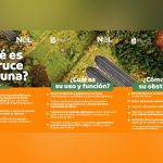 PARQUES Y VIDA SILVESTRE IMPLEMENTA ACCIONES URGENTES PARA PROTEGER A LA FAUNA