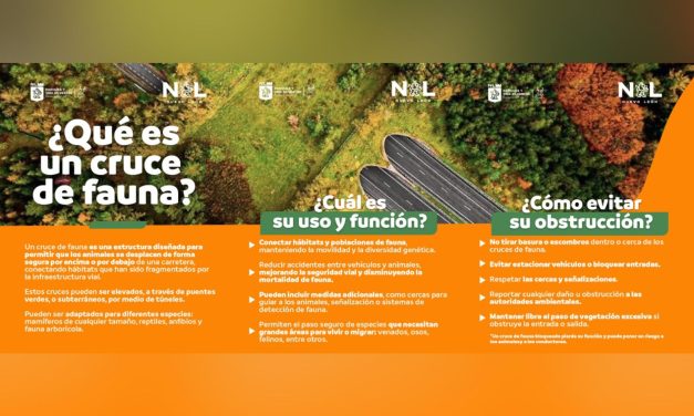 PARQUES Y VIDA SILVESTRE IMPLEMENTA ACCIONES URGENTES PARA PROTEGER A LA FAUNA