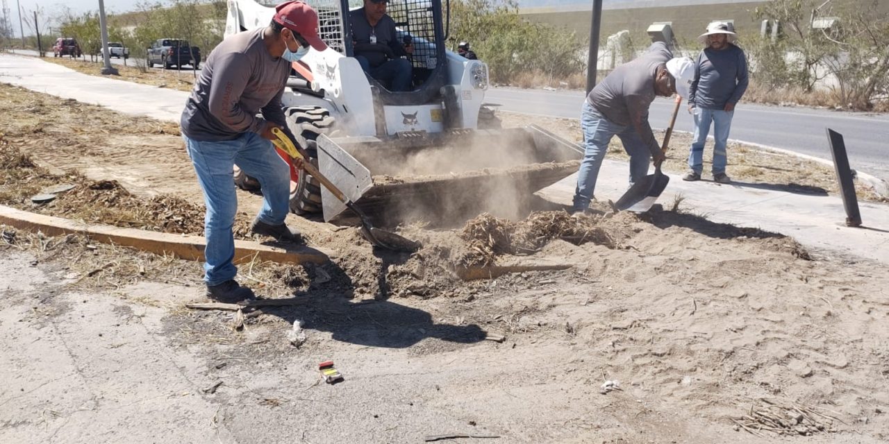 JESÚS NAVA REFUERZA VIGILANCIA Y LIMPIEZA EN AVENIDA COLOSIO