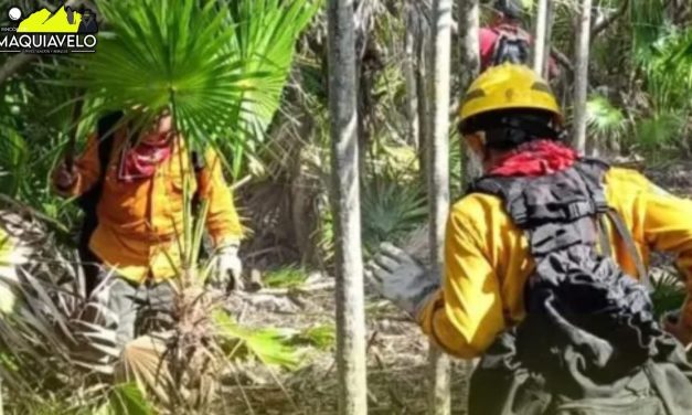 400 HECTÁREAS CALCINADAS POR INCENDIO EN EL ÁREA PROTEGIDA YUM BALAM, QUINTANA ROO