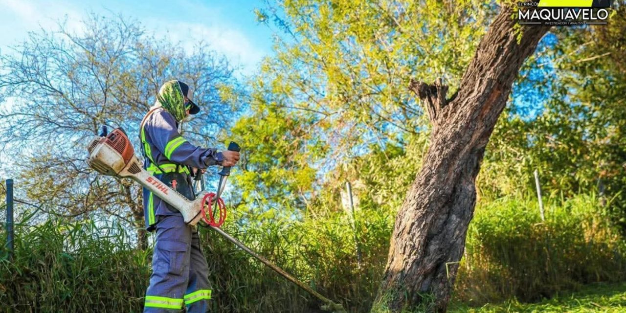 DAVID DE LA PEÑA REFUERZA LIMPIEZA Y MANTENIMIENTO DE ESPACIOS PÚBLICOS EN SANTIAGO