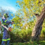 DAVID DE LA PEÑA REFUERZA LIMPIEZA Y MANTENIMIENTO DE ESPACIOS PÚBLICOS EN SANTIAGO